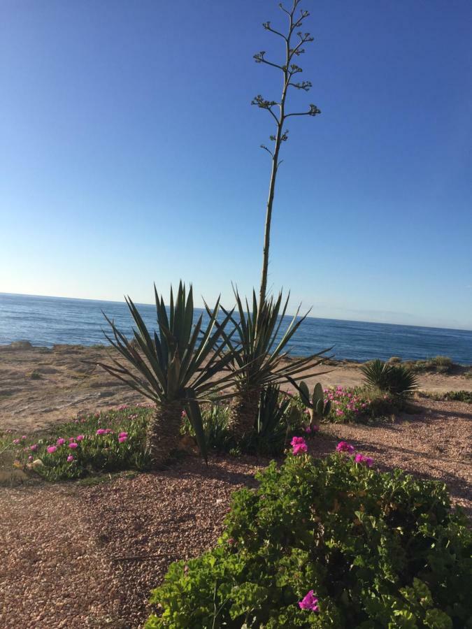 Seafront Dream Apartment Torrevieja Exterior foto